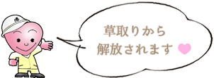 園芸砂を使用した日本庭園風仕上げの施工イメージ