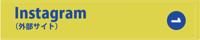 ガイヘキウォッシュ