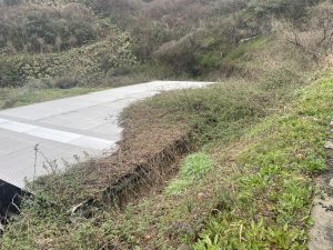 屋根の草刈り？？