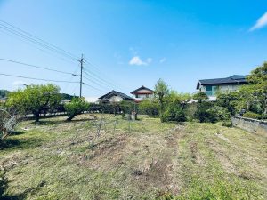 草刈りの季節が今年もやってきました☀️